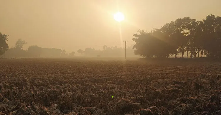 পঞ্চগড়ে শীতের তীব্রতা বাড়ছে, তেঁতুলিয়ায় তাপমাত্রা ১২.৬ ডিগ্রি