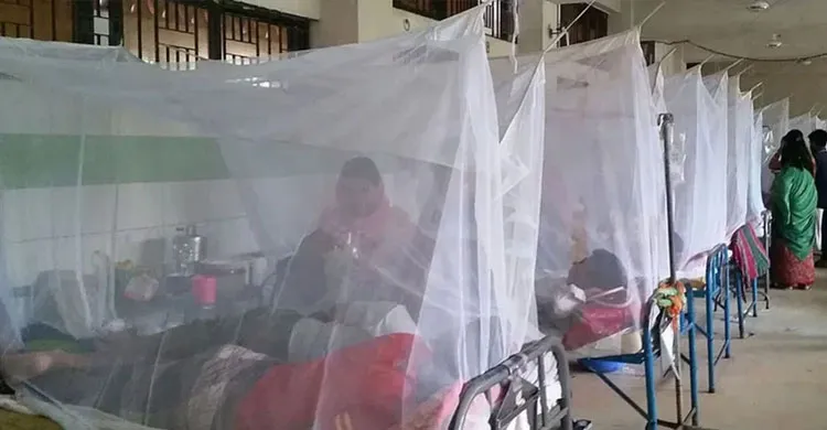 ডেঙ্গুতে সাতজনের মৃত্যু, হাসপাতালে ভর্তি ৫৬৭