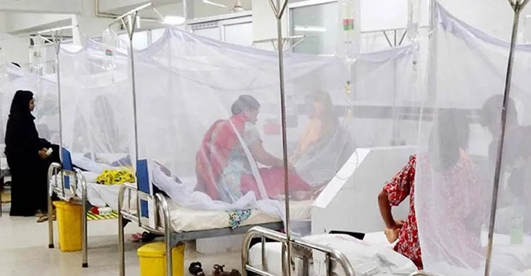 ডেঙ্গুতে এক দিনে ৫ জনের মৃত্যু, হাসপাতালে নতুন ভর্তি ৬৩৬