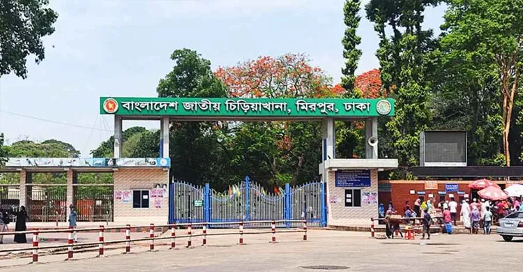 জাতীয় চিড়িয়াখানায় খাঁচা ছেড়ে বেরিয়ে এলো সিংহ, আতঙ্ক নেই