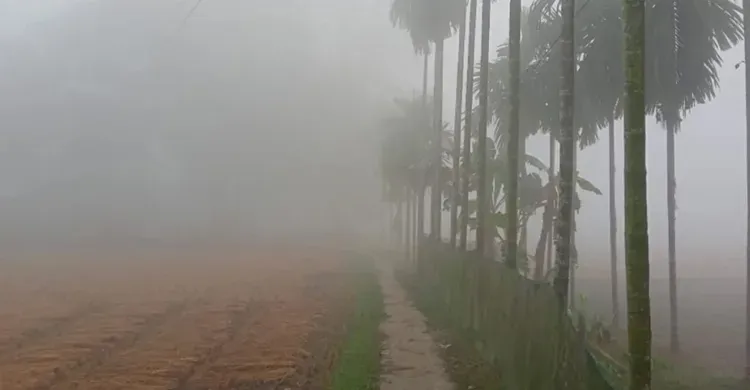 মৌসুমের সর্বনিম্ন তাপমাত্রা পঞ্চগড়ে, বেড়েছে শীতের তীব্রতা