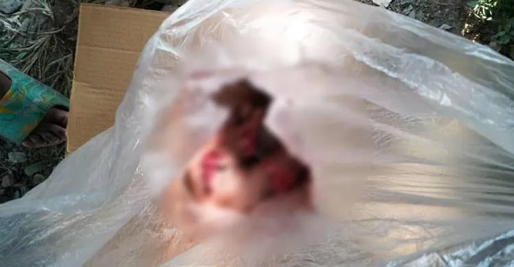 টঙ্গীতে পরিত্যক্ত কার্টুন থেকে মানুষের খণ্ডিত পা উদ্ধার