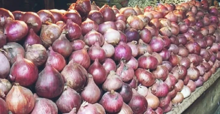 সাতক্ষীরায় পেঁয়াজের দাম কমলো কেজিতে ৩০ টাকা