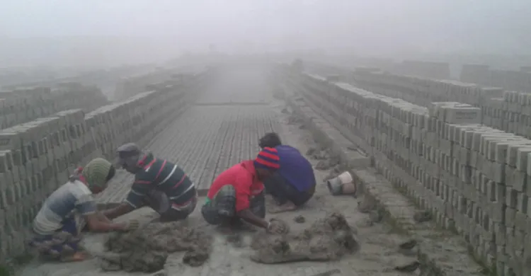 চুয়াডাঙ্গায় ১২ ডিগ্রি তাপমাত্রাতে কর্মব্যস্ত ইটভাটার শ্রমিকরা