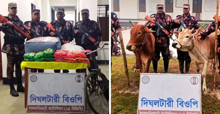 লালমনিরহাট সীমান্তে বিজিবির অভিযানে ভারতীয় গরু ও চোরাচালানি পণ্য জব্দ