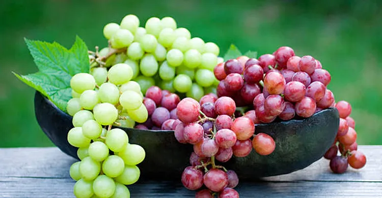 লাল বনাম সবুজ আঙুর: কোনটি বেশি স্বাস্থ্যকর ও পুষ্টিকর?