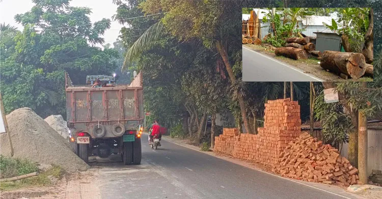 কাশিয়ানীর সড়ক যেন ইট–বালু ও গাছের হাট