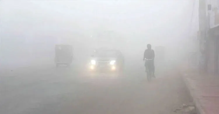 জেঁকে বসেছে কনকনে শীত