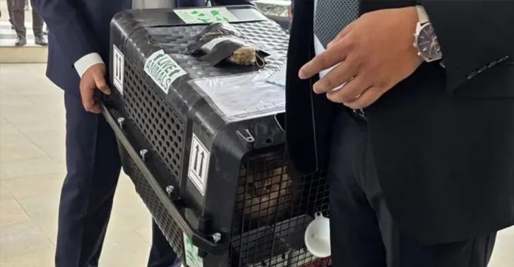 তারেক রহমানের দেশে ফেরার সঙ্গে ঢাকায় পা রাখলো ‘জেবু’