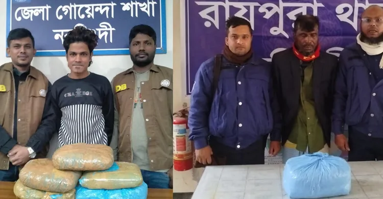 নরসিংদীতে পৃথক অভিযানে বিপুল পরিমাণ গাঁজা উদ্ধার, আটক ২