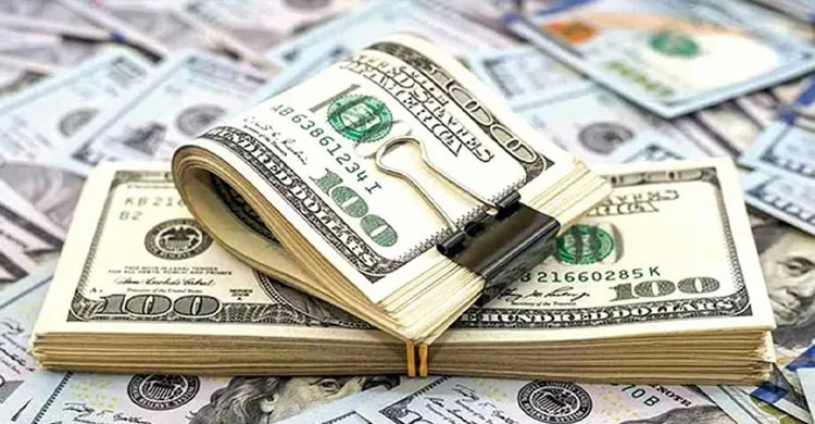 ডিসেম্বরে এলো ইতিহাসের দ্বিতীয় সর্বোচ্চ রেমিট্যান্স