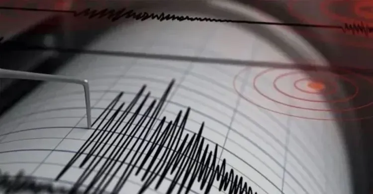 ছবিঃ সংগৃহীত