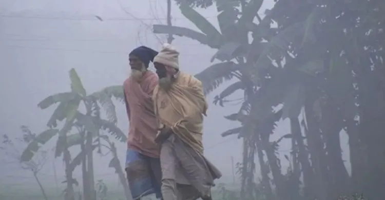 রাজশাহীতে হাড়কাঁপানো ঠান্ডা, তাপমাত্রা নেমেছে ৭ ডিগ্রি সেলসিয়াসে