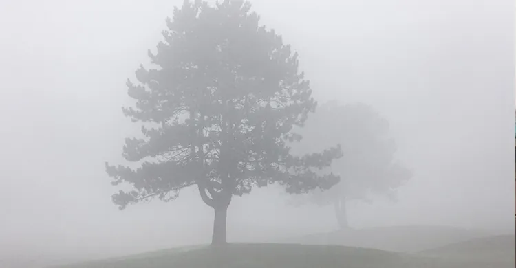 কুয়াশায় ঢাকবে বাংলাদেশ, ৪৪ জেলায় শৈত্যপ্রবাহ অব্যাহত