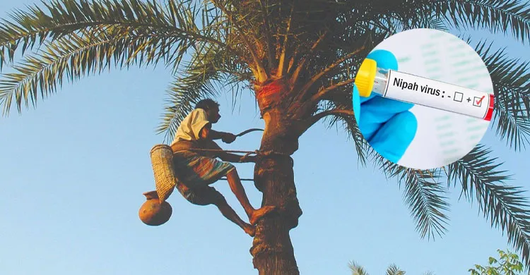নিপাহ ভাইরাস ছড়িয়ে পড়ছে, হাসপাতালগুলোকে প্রস্তুত থাকার নির্দেশ