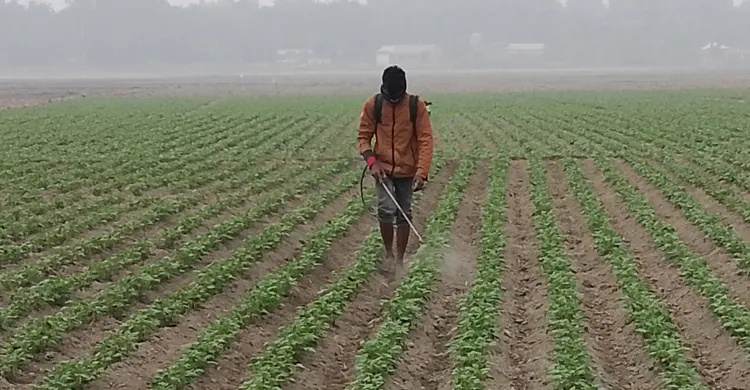 কুড়িগ্রামে ফের মৃদু শৈত্যপ্রবাহ, কনকনে ঠান্ডায় বিপর্যস্ত জনজীবন