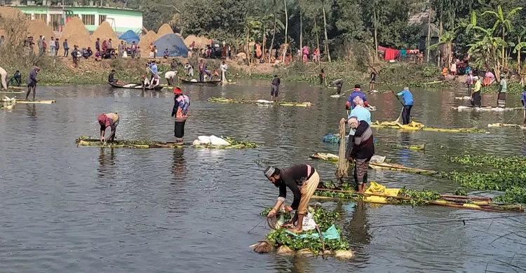 সিংড়ায় ৮৩ বছরের পুরনো মাছ ধরা উৎসব
