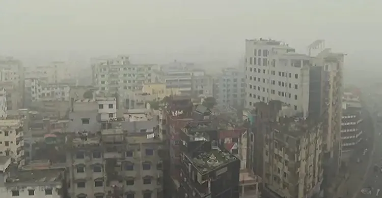 ছবিঃ সংগৃহীত