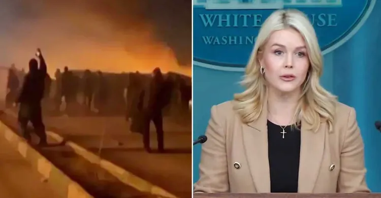 ছবিঃ সংগৃহীত