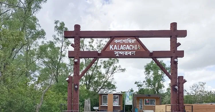 প্রচণ্ড শীতল হাওয়ায় কাবু করেছে সুন্দরবনের ৫০ হাজার বনজীবী