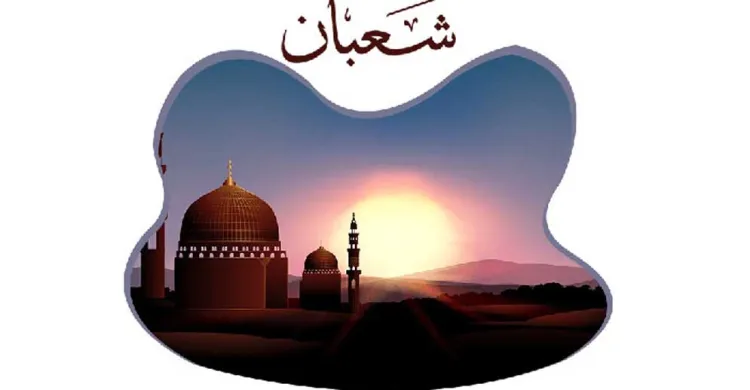 ছবিঃ সংগৃহীত