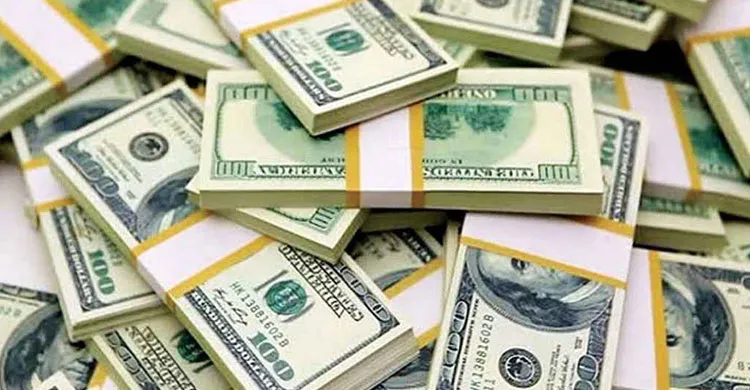 ছবিঃ সংগৃহীত