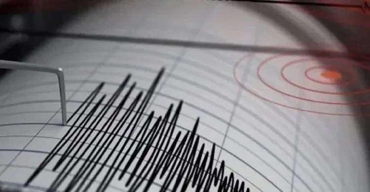 ছবিঃ সংগৃহীত