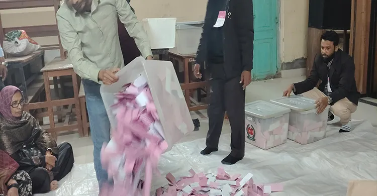 ছবিঃ সংগৃহীত