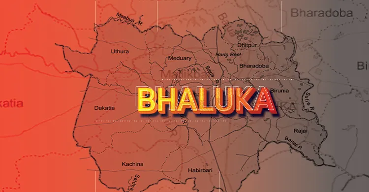 ছবিঃ সংগৃহীত