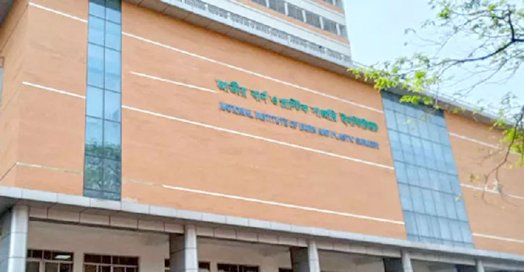 দাউদকান্দিতে সিলিন্ডার বিস্ফোরণ, একই পরিবারের চারজন দগ্ধ