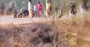 শ্রীপুরে হত্যার পর কিশোরের মরদেহে আগুন, রহস্য উদ্ঘাটনে তদন্তে পুলিশ