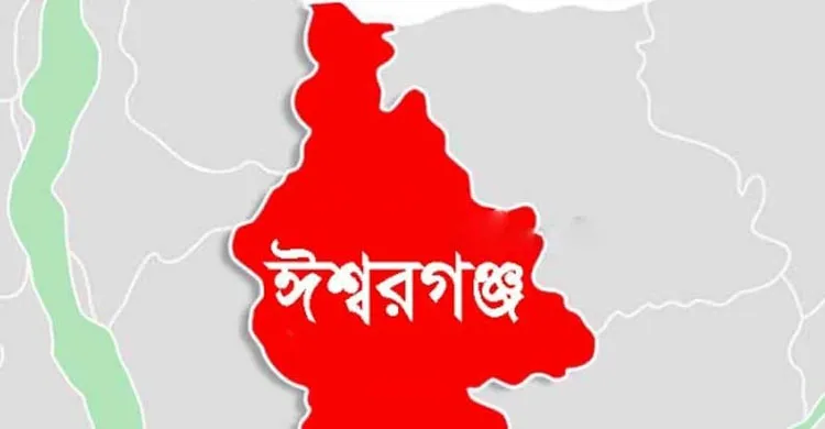 মাকে ‘মৃত’ বানিয়ে স্ত্রীর নামে সম্পত্তি—ঈশ্বরগঞ্জে চাঞ্চল্য