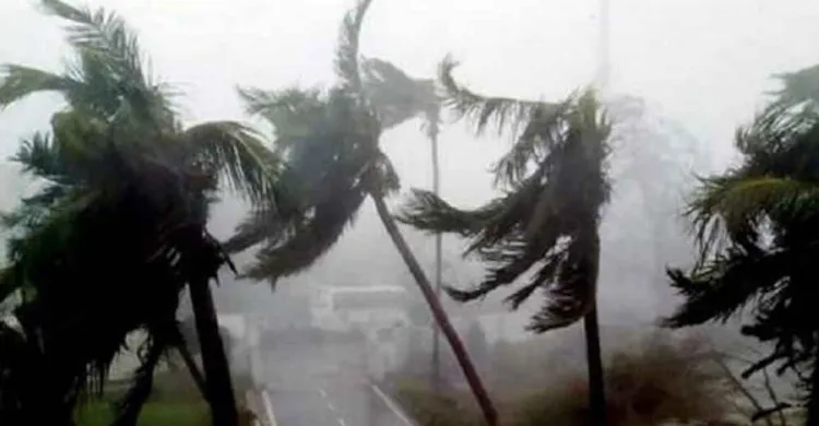 ছবিঃ সংগৃহীত