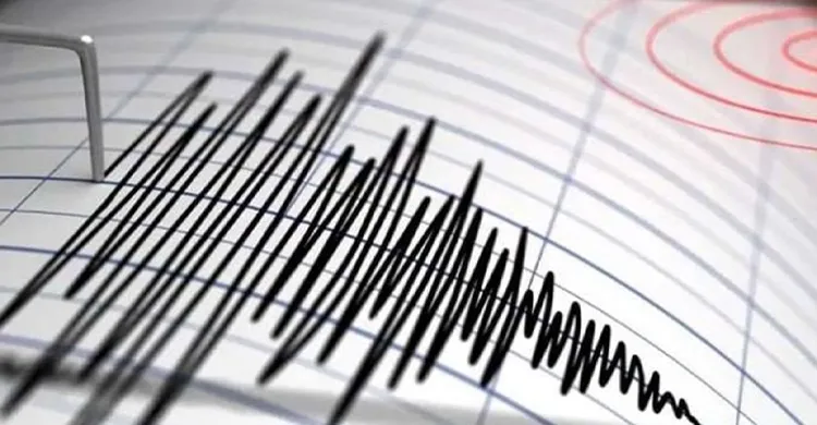 ছবিঃ সংগৃহীত