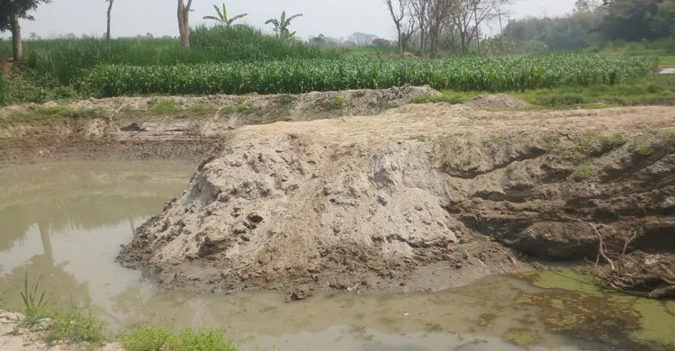 ছবিঃ সংগৃহীত