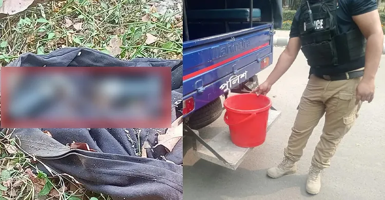 সুপ্রিম কোর্টের প্রধান বিচারপতির প্রবেশপথে ৬টি সাউন্ড গ্রেনেড উদ্ধার