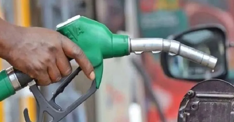 ছবিঃ সংগৃহীত