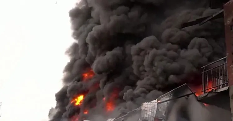 ছবিঃ সংগৃহীত