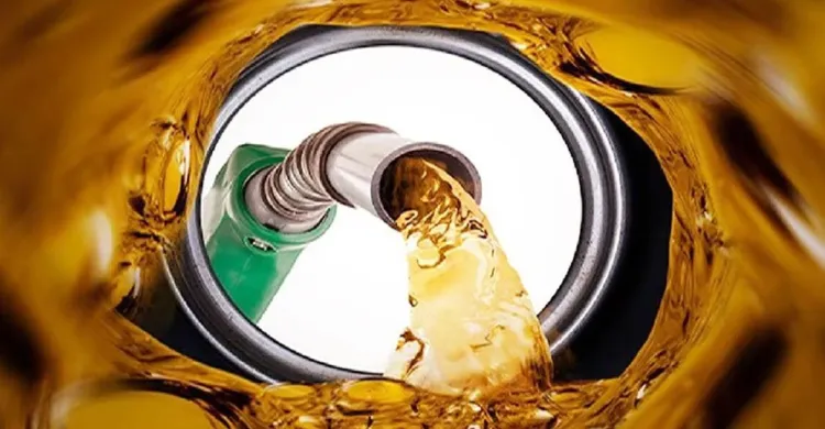 ছবিঃ সংগৃহীত