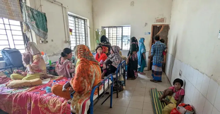 ছবিঃ সংগৃহীত