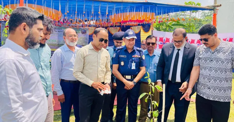 পায়রা সেতু এলাকায় বৃক্ষরোপণ কর্মসূচি শুরু, সবুজায়নে জোর