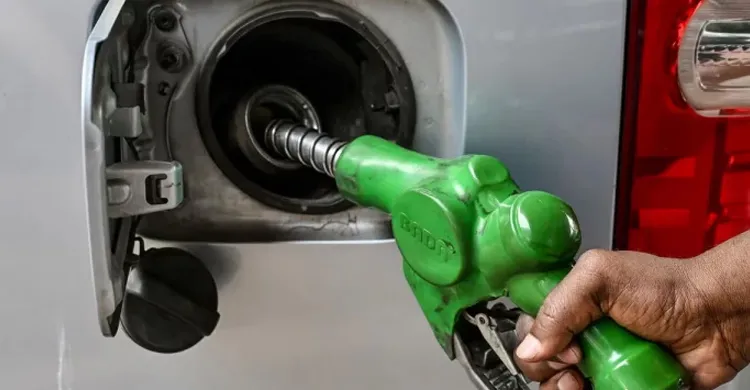 ছবিঃ সংগৃহীত