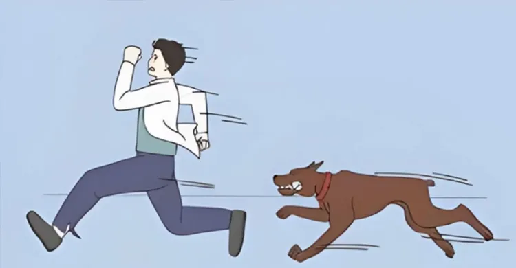 ‎পাকুন্দিয়ায় পাগলা কুকুরের কামড়ে আহত ৪০