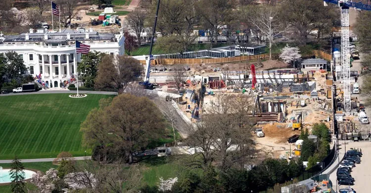 ছবিঃ সংগৃহীত