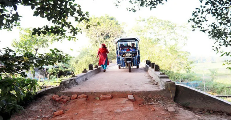 ছবিঃ সংগৃহীত