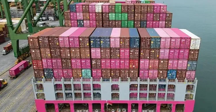 ছবিঃ সংগৃহীত