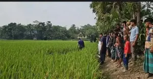 ধানক্ষেতে পড়ে ছিল মুখ বাঁধা ইটভাটা শ্রমিকের মরদেহ