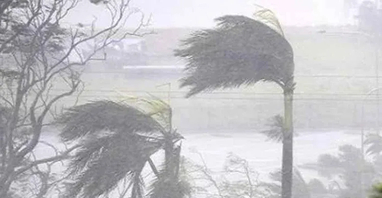 ছবিঃ সংগৃহীত