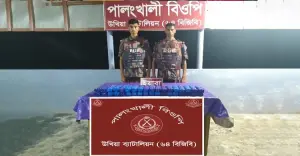 উখিয়া সীমান্তে বিজিবির অভিযান: ১.৪০ লাখ ইয়াবা জব্দ, পাচারকারী পলাতক