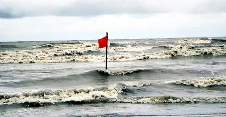 ছবিঃ সংগৃহীত